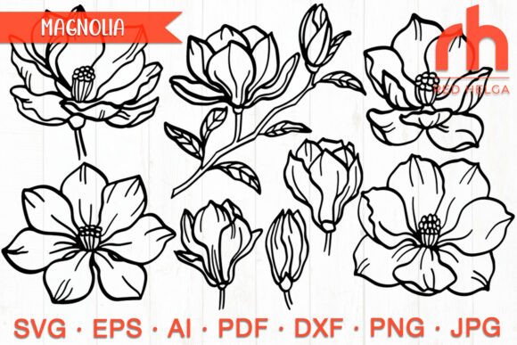 Elevate Your Projects with Hand Drawn Magnolia SVGs